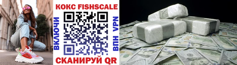 Кокаин FishScale  продажа наркотиков  Дигора 