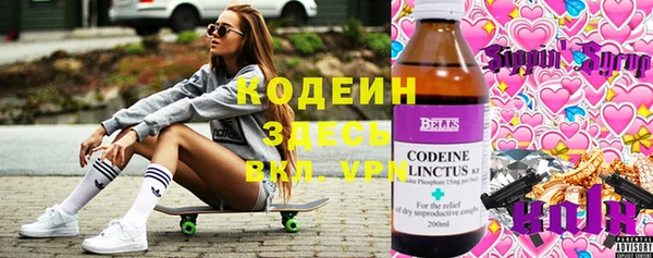 скорость Бородино
