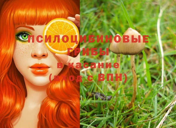 спиды Дмитровск