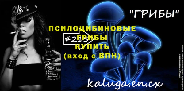 скорость Бородино