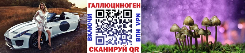 Псилоцибиновые грибы Cubensis  закладки  Дигора 